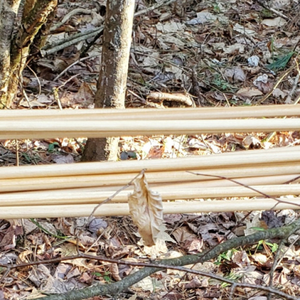 arrows