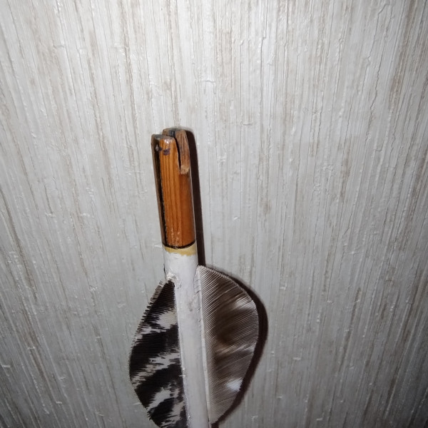 IMG_20251209_174449440