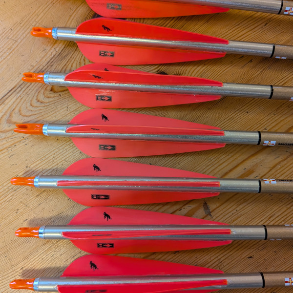 PXL_20260218_085034341