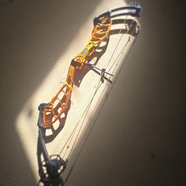 inbound1581320651043710185