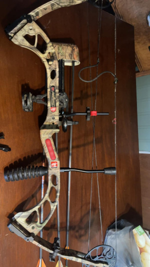 bow 1