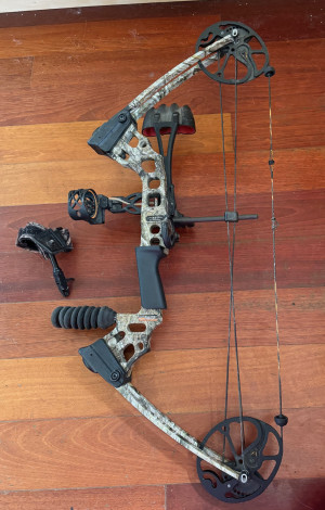 bow1-edited