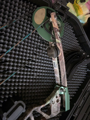 Bear Code Compound Bow-LH (New)_IMG_02