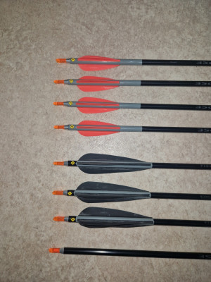 20260118_210959.jpg_compressed