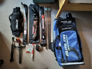 1000022334_compressed