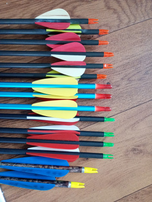 IMG_20260301_155830066_MFNR