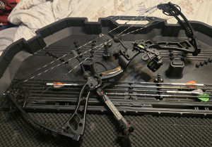 fde465ed-c75e-4407-9bdf-fd3e6e0fab7d-1_all_33346