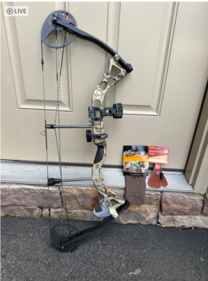 bow pic 1