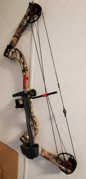 Bow Full